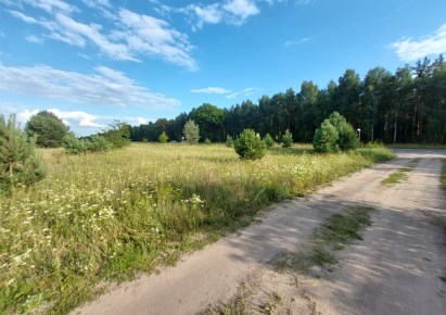 działka na sprzedaż - Szubin (gw), Żurczyn