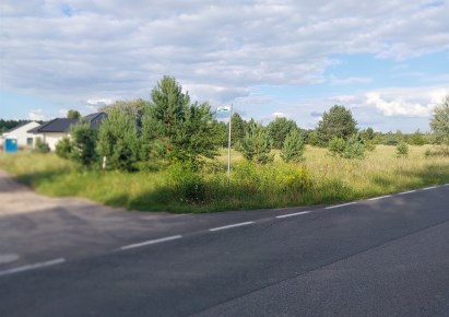 działka na sprzedaż - Szubin (gw), Żurczyn