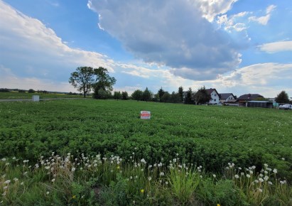 działka na sprzedaż - Dobrcz, Sienno